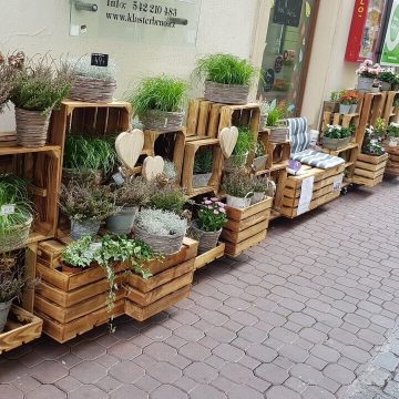 Květinářství GALERIE Brno - předsunutý prodej na rohu ulic Josefská a Orlí