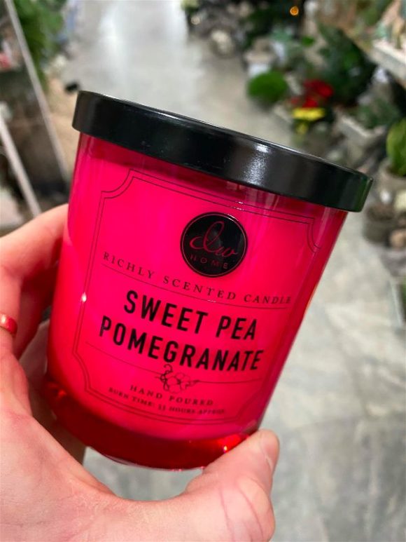 DW Home - Sweet Pea Pomegranate