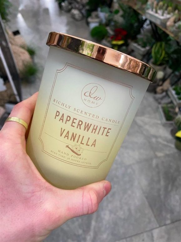 DW Home - Paperwhite Vanilla