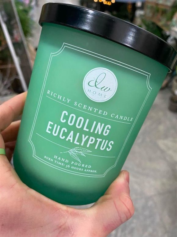 DW Home - Cooling Eucalyptus