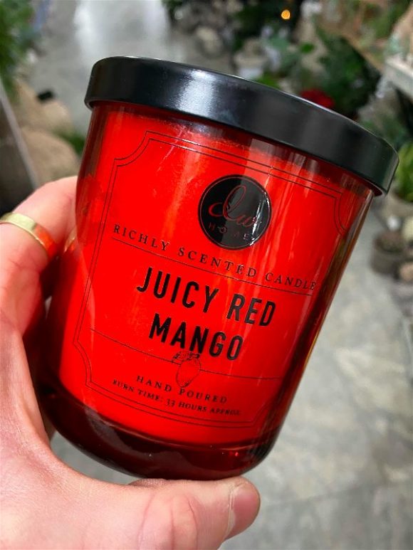 DW Home - Juicy Red Mango